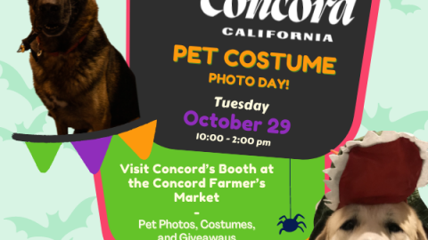 Pet Costume Photo Day!