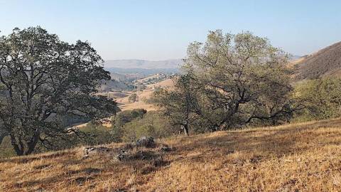 Beat the Heat and Hike the Suburban Interface in Walnut Creek Open Space