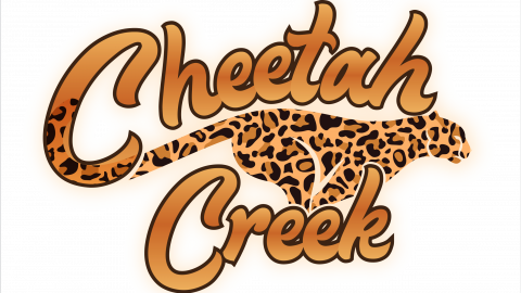 Six Cheetah Cubs Welcomed to Six Flags Discovery Kingdom