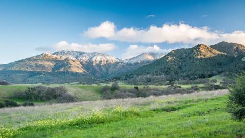 Moving to Concord, CA? Consider These Facts