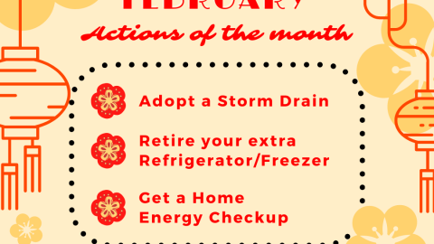 Cleaner Contra Costa February Actions