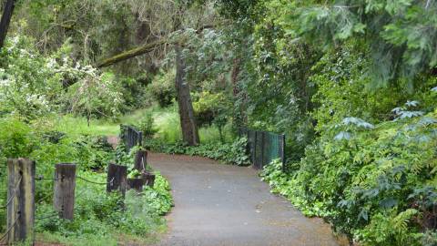 Top Five Spring Things to Do in Concord