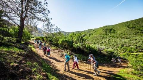 The best hikes in the Bay Area you can get to using only public transit