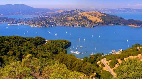 5 Best Hikes Out of San Francisco