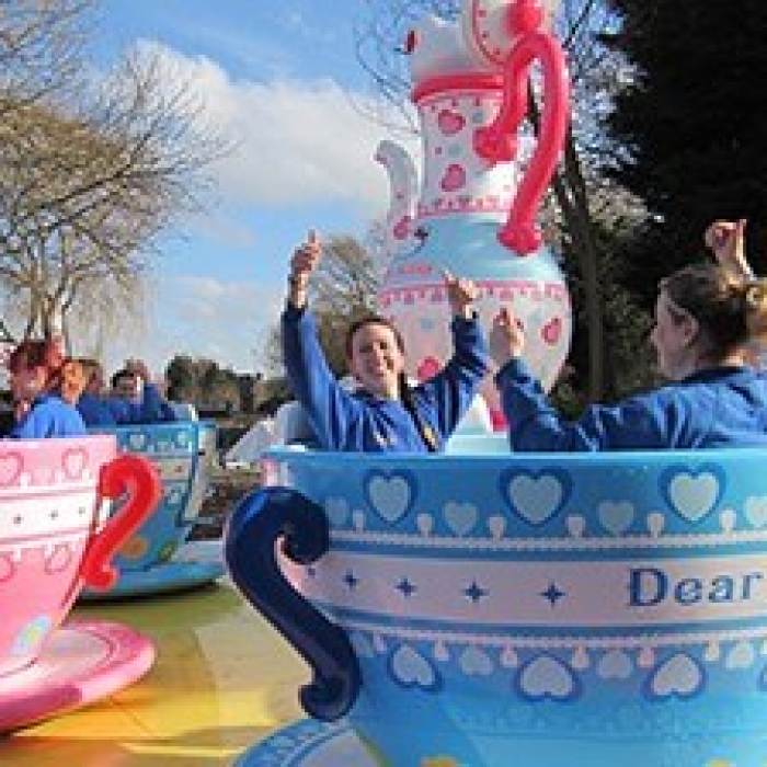 teacup theme park ride