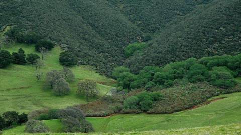 Mangini Ranch Meditation Hike