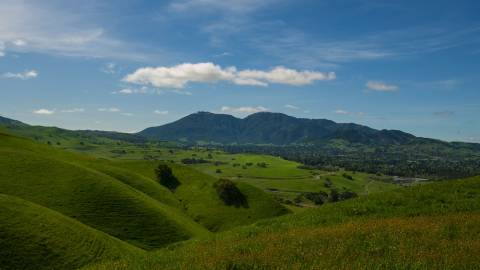 Celebrating Black History Walk