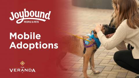 Mobile Pet Adoptions