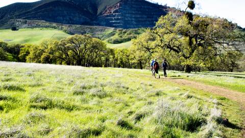 An Insider’s Guide to Mount Diablo: Hike, Bike & Camp at Mount Diablo