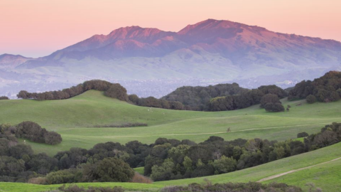 Map: Bay Area’s best picnic spots