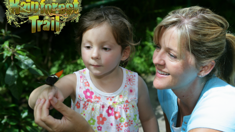 New Rainforest Trail, Swoops into Six Flags Discovery Kingdom This Spring