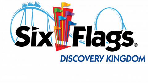 Quillow the Porcupine Predicts the Sunday Game Winner