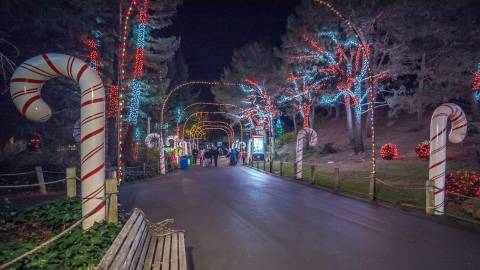 Ring in the Holidays at Six Flags Discovery Kingdom’s Reimagined Holiday in the Park