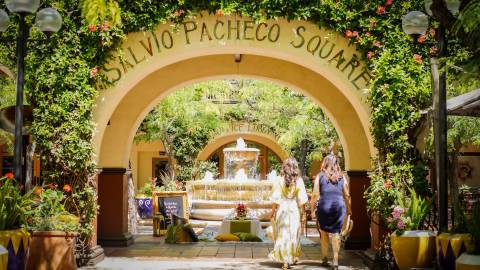 TOP FIVE THINGS TO DO IN MARCH