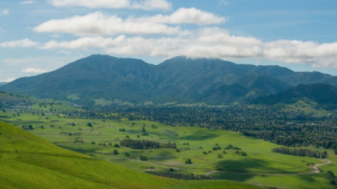 Walk and Talk with Mayor Obringer