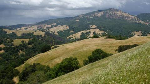 Trail Stomp – Run with Save Mount Diablo