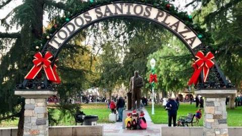Bay Area Tree and Menorah Lightings