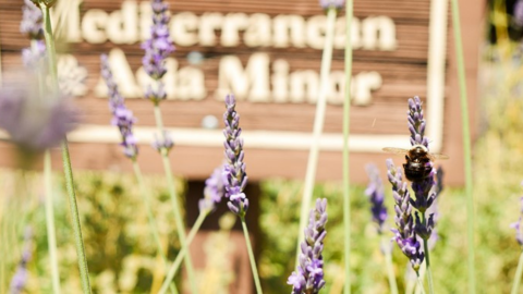 The Most Instagrammable Spots in Concord This Summer