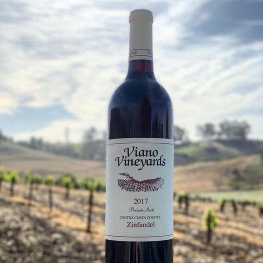 Cheers to Concord This Wine Month! - Visit Concord
