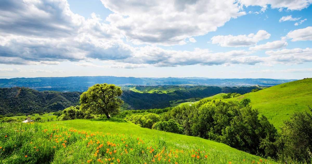 Be Inspired to Plan Your Trip To Concord