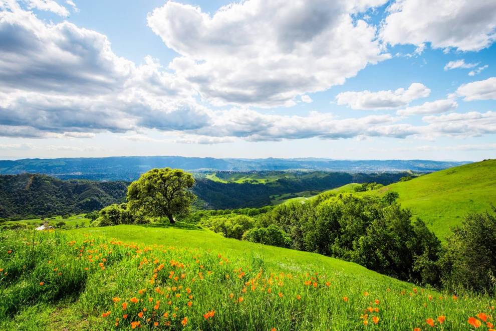Inspired To Plan Your Trip Concord, Mount Diablo Landscape Concord Case