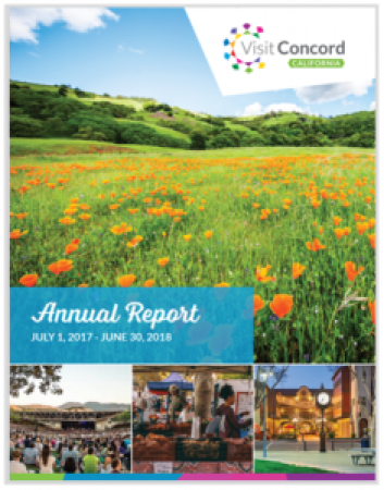 annual report cover
