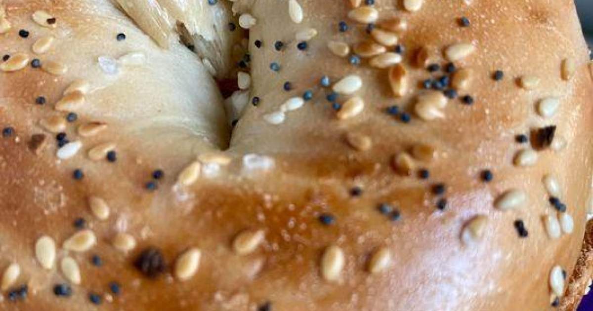 house of bagels