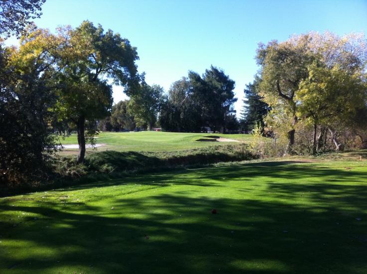 golf course green