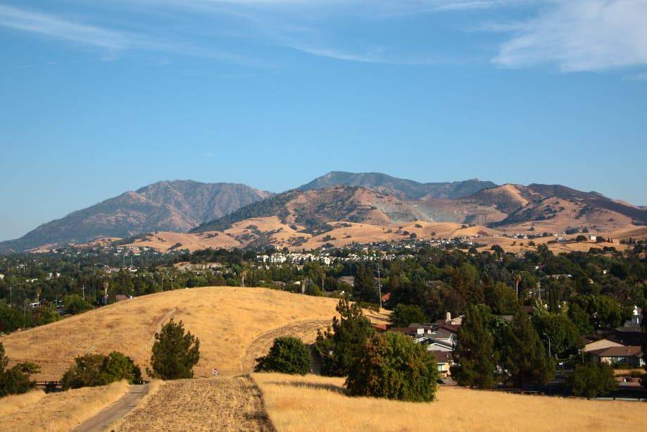 mount diablo standing tall in background