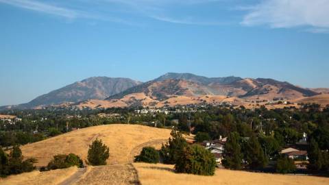 mount diablo standing tall in background