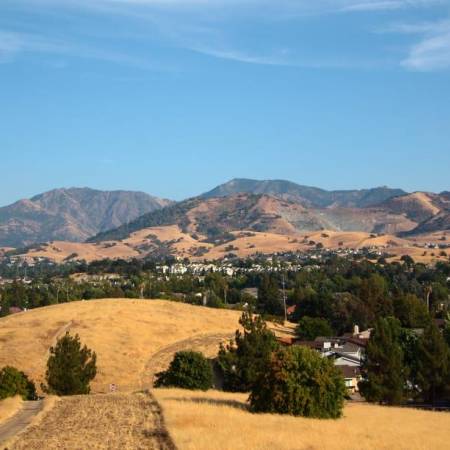 mount diablo standing tall in background