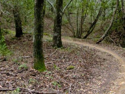 mountain bike trail