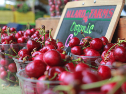 fresh cherries for sale