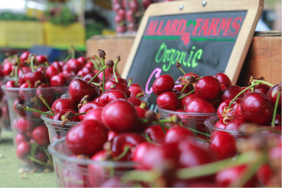 fresh cherries for sale