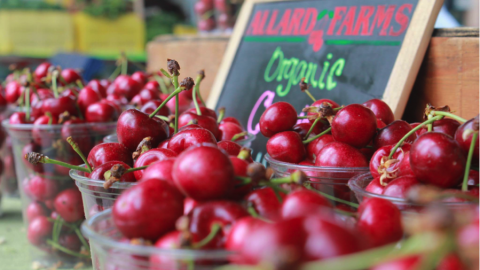 fresh cherries for sale
