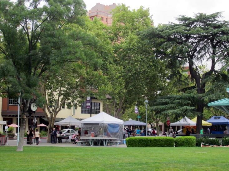 local farmers market at todos santos plaza