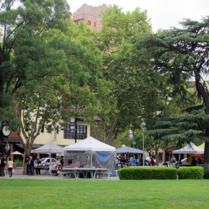 local farmers market at todos santos plaza