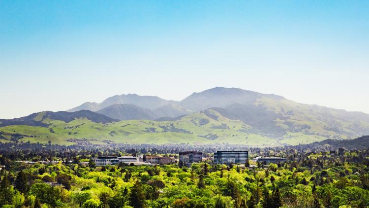 mountain with city buildings in foreground