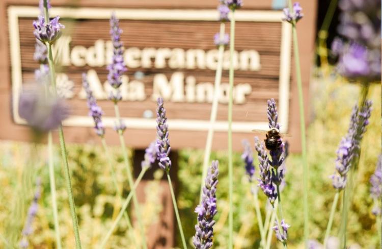 flowers in front of sign