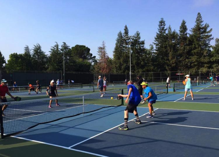 pickleball court side