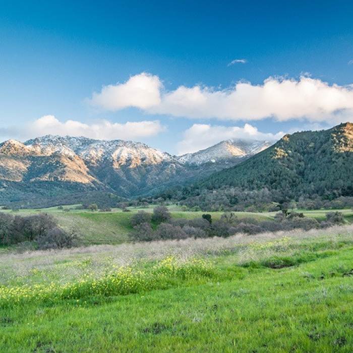 green valley with snowy mountains