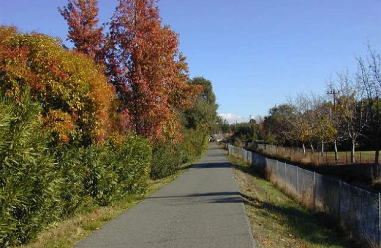 fall colors walking path