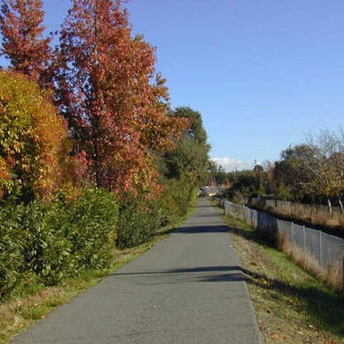 fall colors walking path