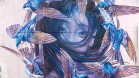 The Cool Cats Come to Concord