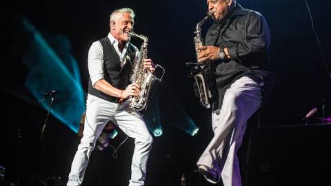 Spotlights on the Concord Jazz Festival