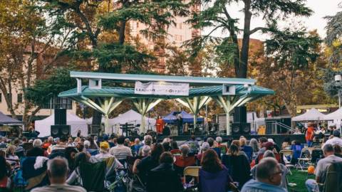 live music in the park