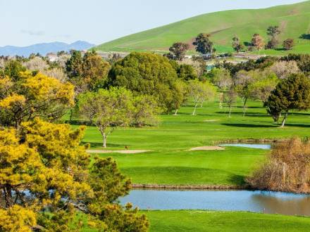 overhead view of golf course