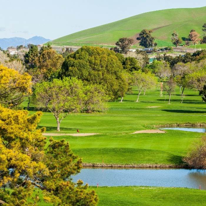 overhead view of golf course