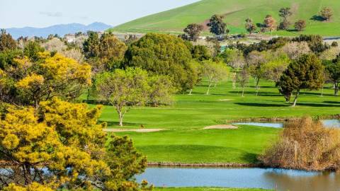 overhead view of golf course
