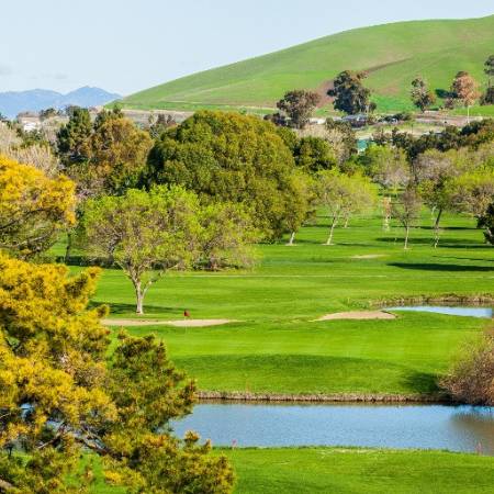 overhead view of golf course
